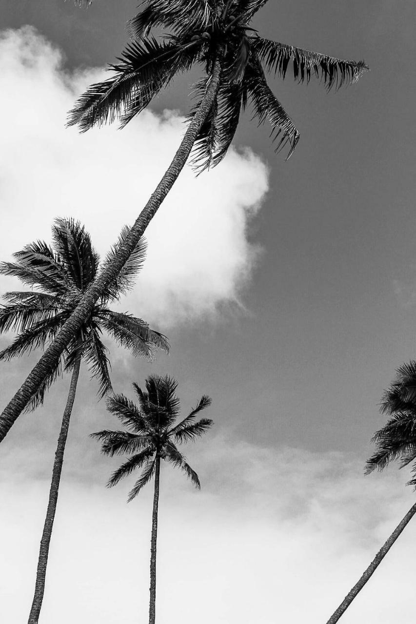 Rarotonga Villas Avarua Exteriér fotografie