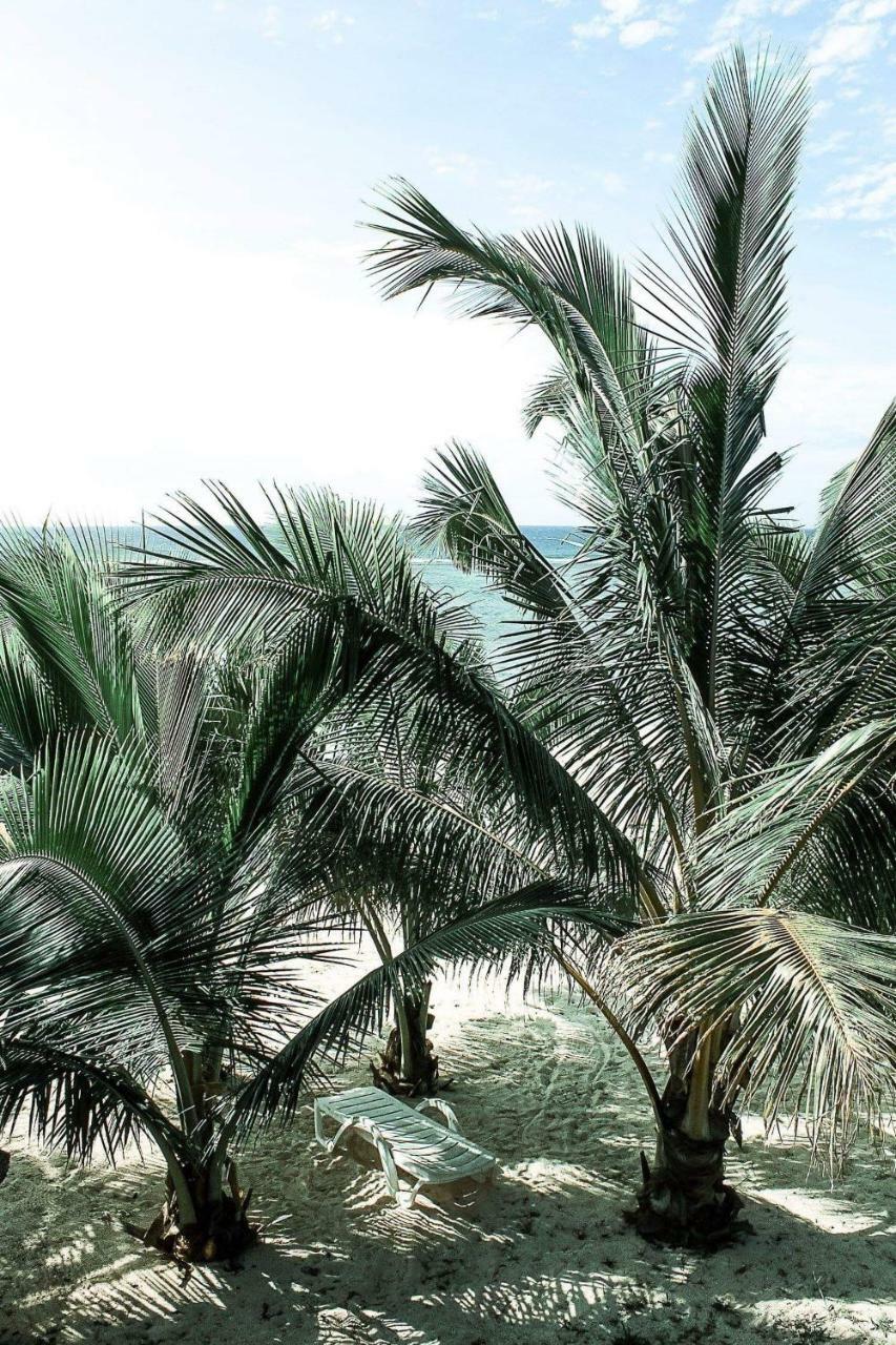 Rarotonga Villas Avarua Exteriér fotografie